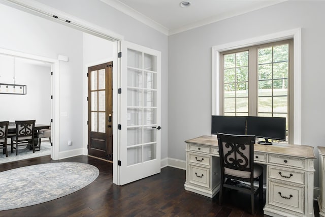 office with crown molding, french doors, and dark hardwood / wood-style floors