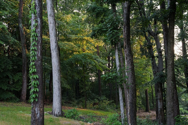 view of local wilderness