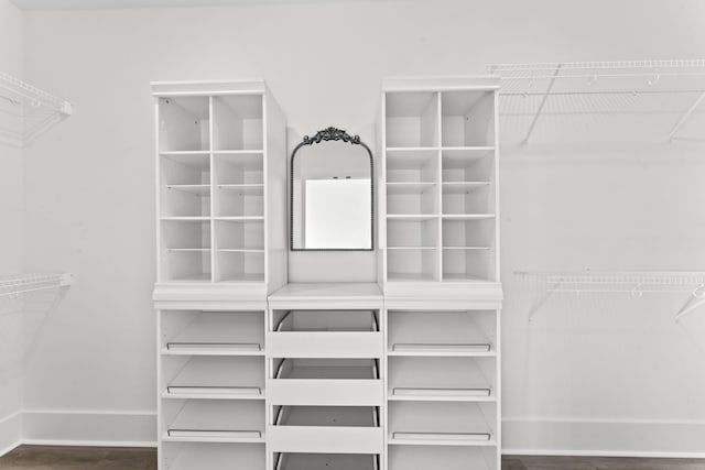 spacious closet with dark wood-type flooring