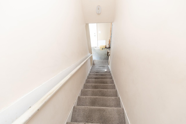 staircase featuring carpet floors