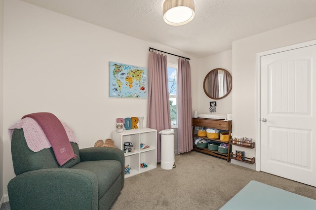 sitting room with a textured ceiling and carpet flooring