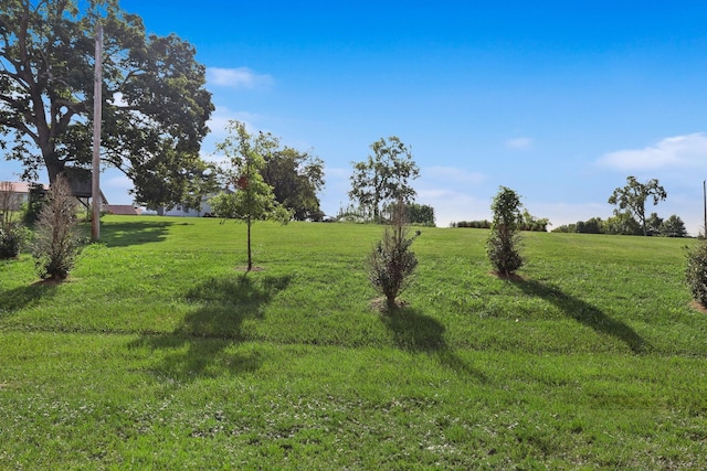 view of yard featuring a rural view