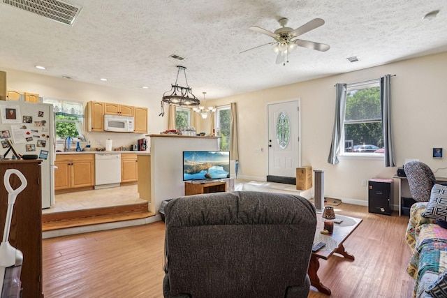 living room featuring ceiling fan with notable chandelier, a textured ceiling, and light hardwood / wood-style flooring