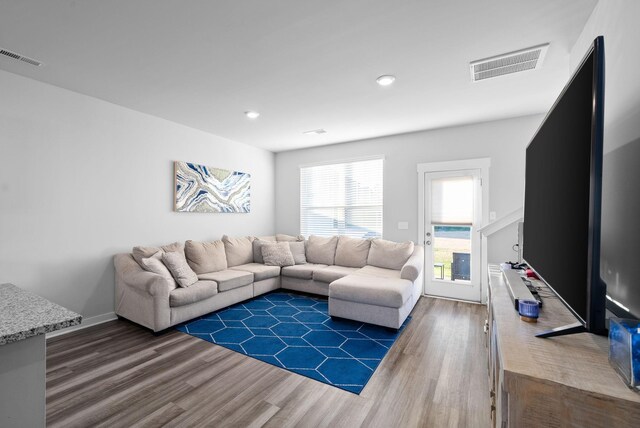 living room featuring dark wood-type flooring