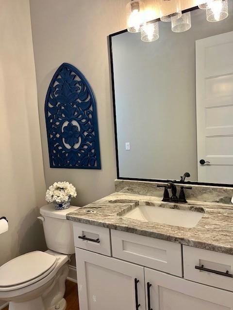 bathroom with vanity, toilet, and wood-type flooring