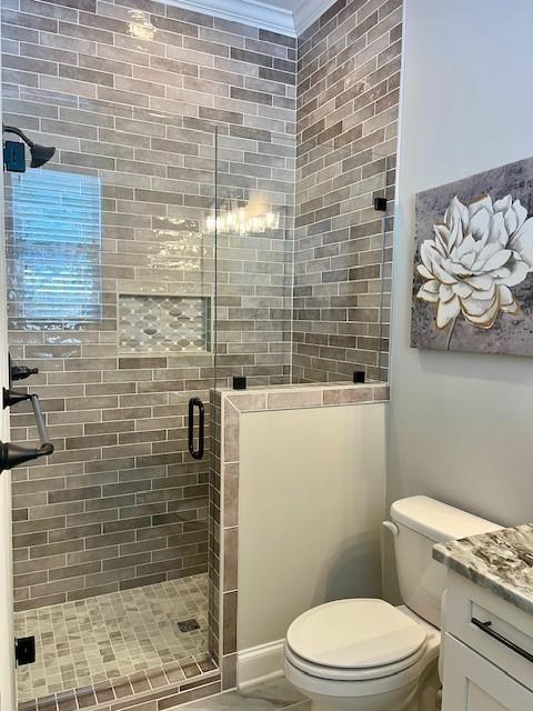 bathroom with vanity, a shower with shower door, and toilet