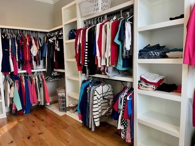 spacious closet featuring wood-type flooring