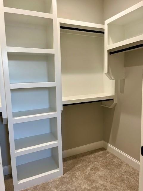 walk in closet featuring carpet flooring