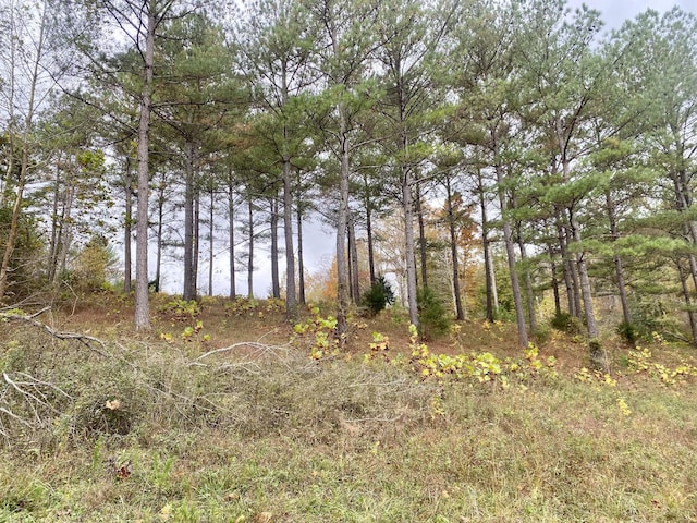 view of local wilderness with a water view