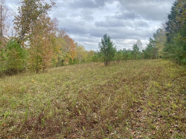 view of local wilderness