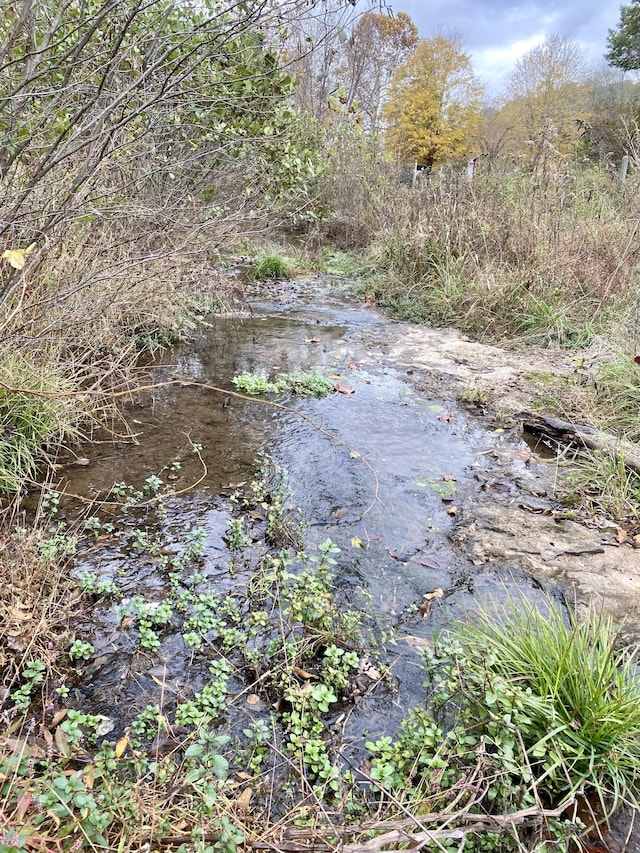 view of nature