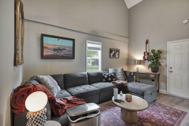 living room with wood-type flooring and lofted ceiling