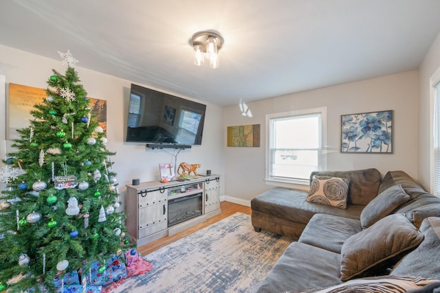 living room with light hardwood / wood-style floors