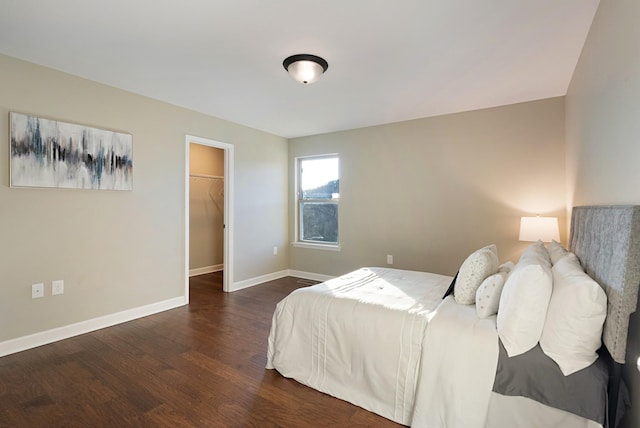 bedroom featuring a walk in closet, a closet, and dark wood-type flooring