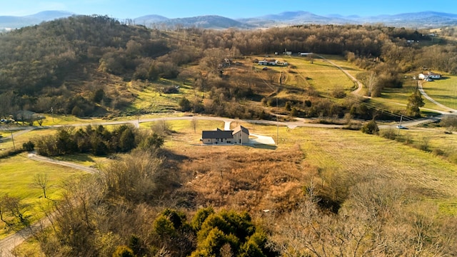 birds eye view of property with a mountain view and a rural view