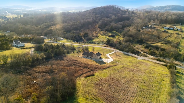 drone / aerial view with a mountain view