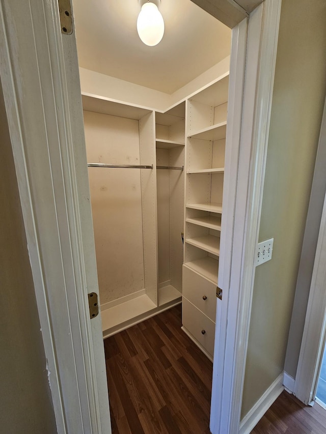 walk in closet with dark hardwood / wood-style flooring