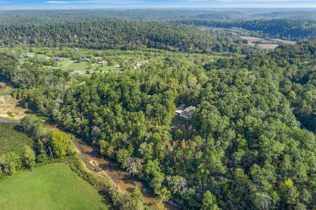 bird's eye view