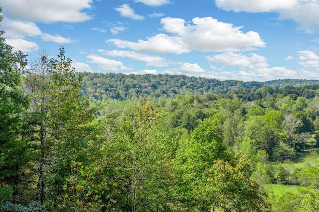 property view of mountains