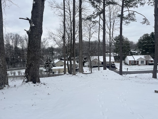 view of yard covered in snow