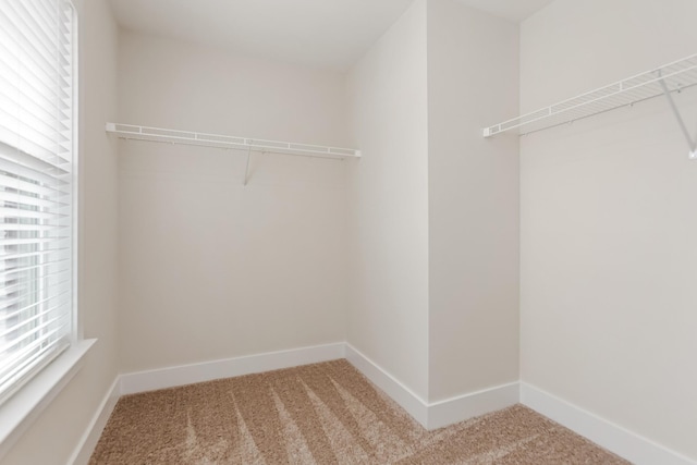 313 Jasmine Park, Hermitage, TN 37076 - photo 29