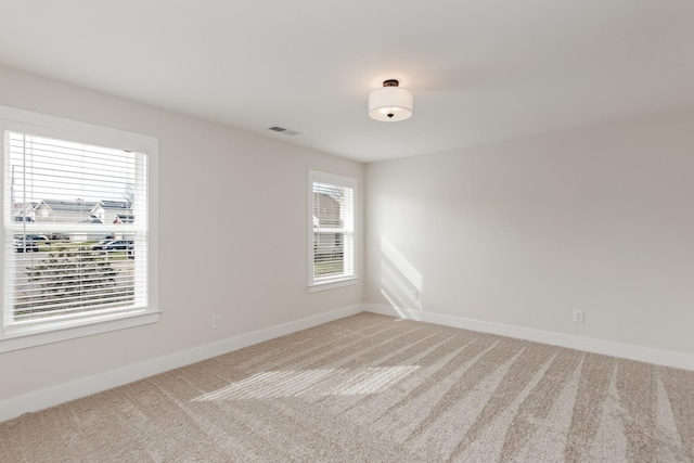 313 Jasmine Park, Hermitage, TN 37076 - photo 26
