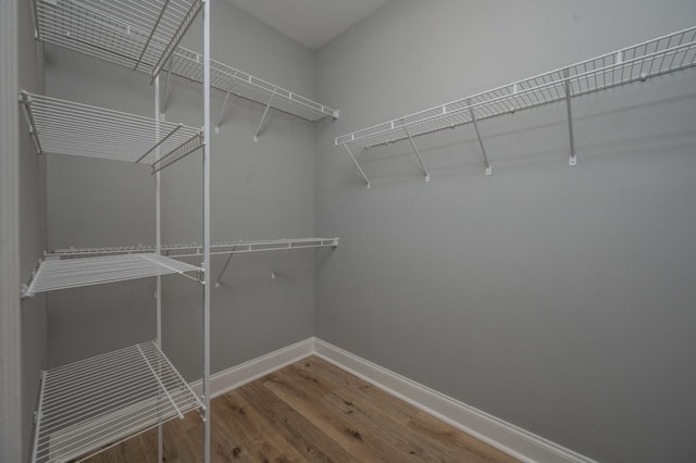 walk in closet featuring hardwood / wood-style flooring