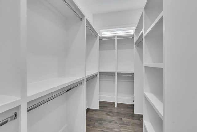 spacious closet with dark hardwood / wood-style floors