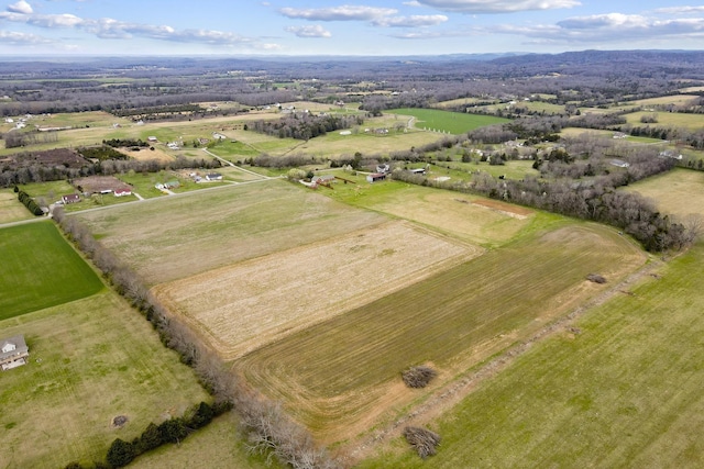 0 Smiley Rd, Chapel Hill, TN 37034 - photo 5