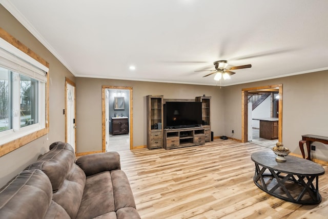 living room featuring ceiling fan, light hardwood / wood-style flooring, and crown molding