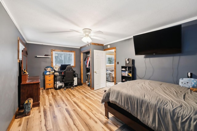 bedroom with a walk in closet, ornamental molding, ceiling fan, light hardwood / wood-style flooring, and a closet