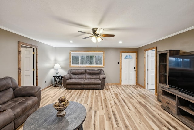 living room with ceiling fan, ornamental molding, and light hardwood / wood-style flooring