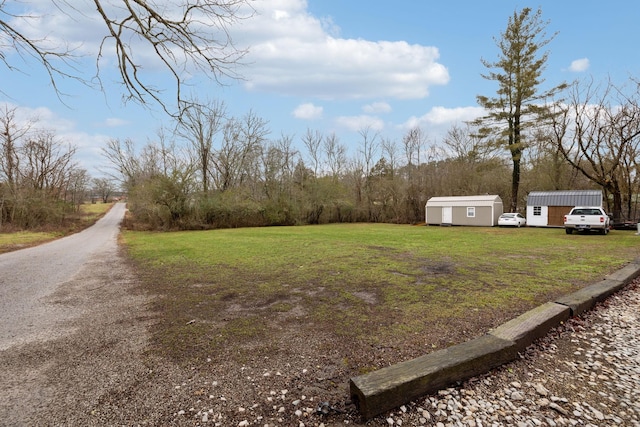 view of yard featuring a shed