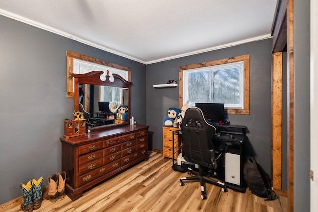 office featuring crown molding and light hardwood / wood-style flooring