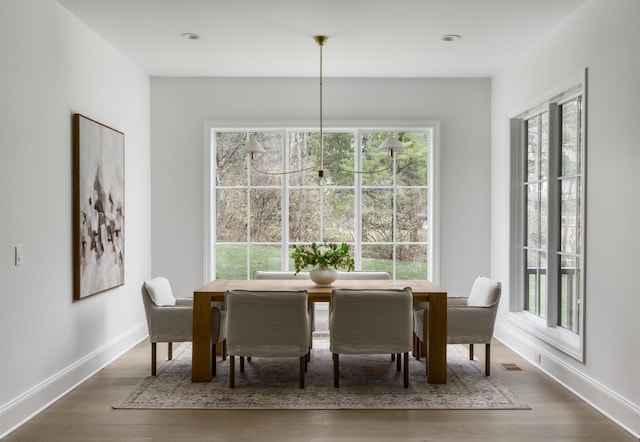 dining space featuring dark wood-type flooring