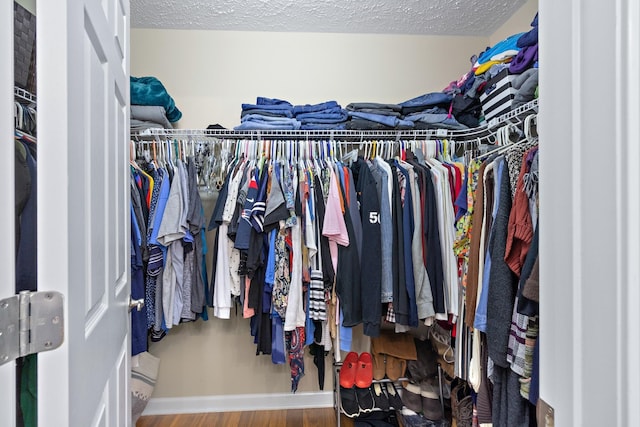 walk in closet with wood-type flooring