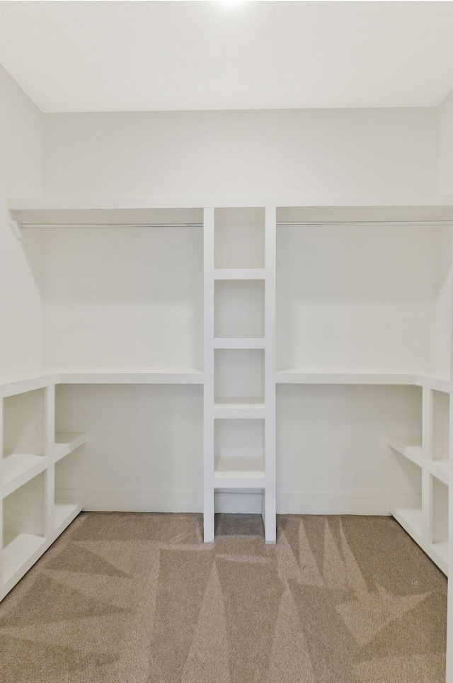 spacious closet featuring carpet flooring