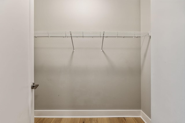 spacious closet featuring hardwood / wood-style flooring