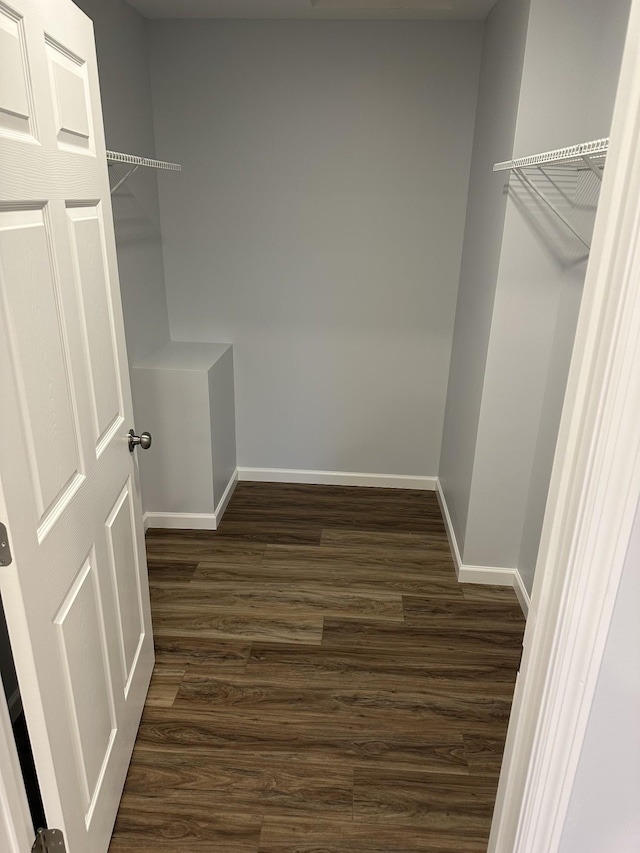 walk in closet with dark hardwood / wood-style flooring