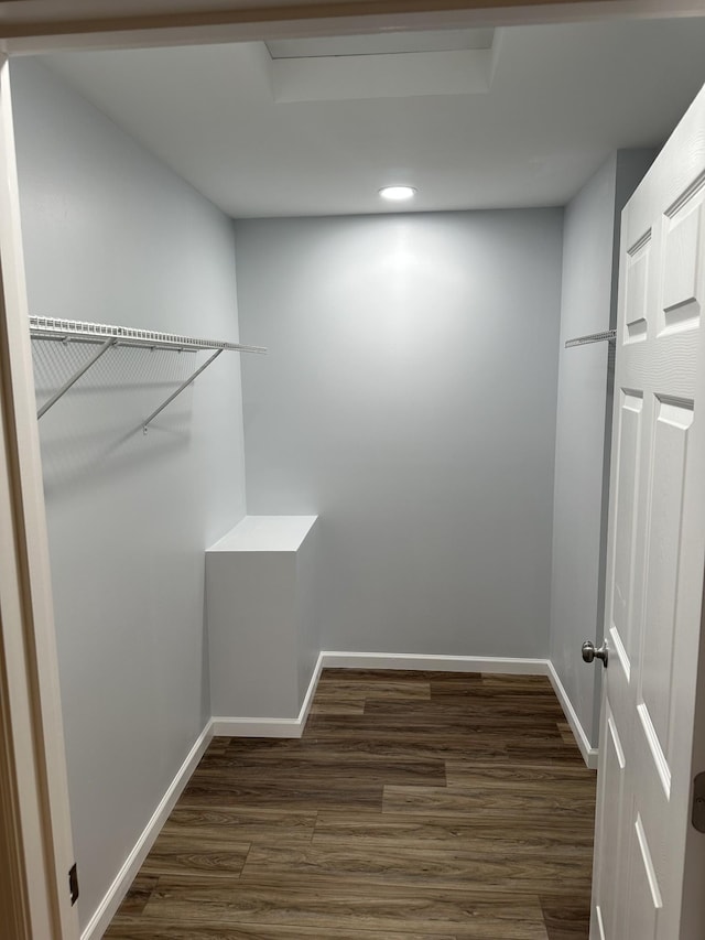 spacious closet featuring dark wood finished floors