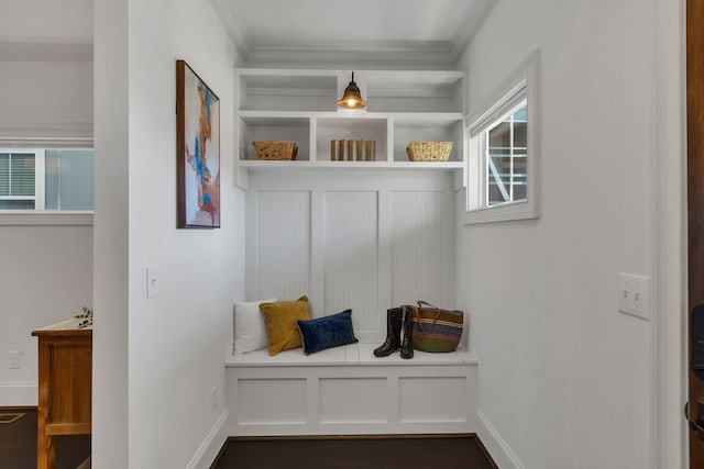 mudroom featuring crown molding and dark hardwood / wood-style flooring