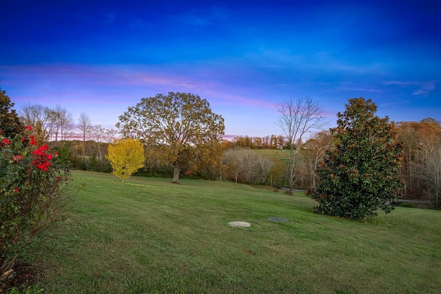 view of yard at dusk