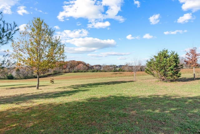 view of yard with a rural view