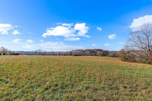 view of local wilderness with a rural view