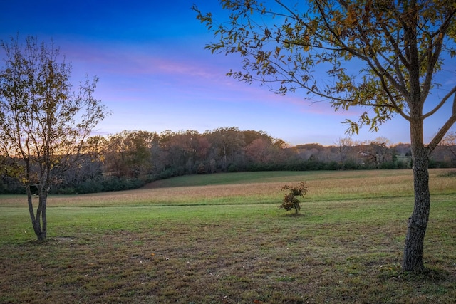 view of yard at dusk