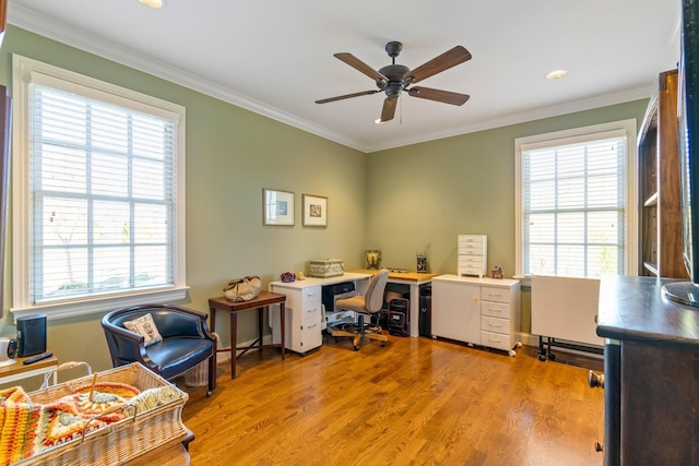 home office featuring ceiling fan, plenty of natural light, ornamental molding, and light wood-type flooring