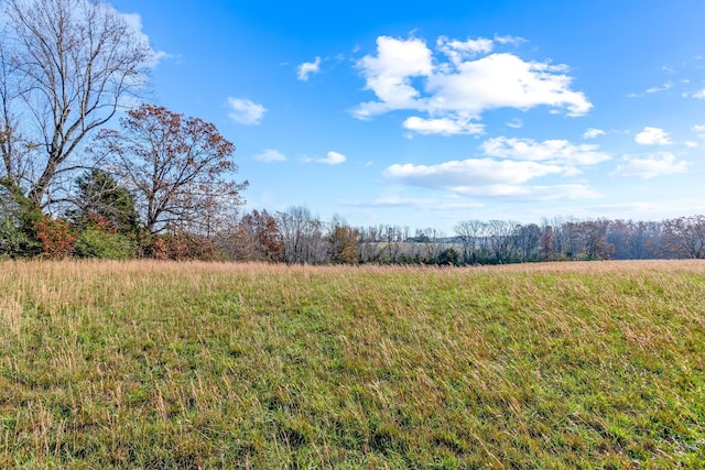 view of landscape with a rural view