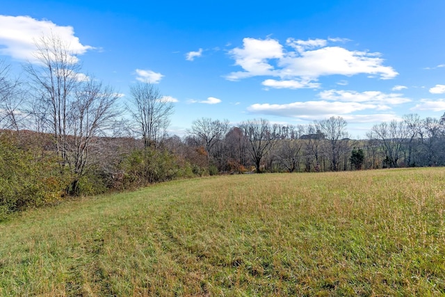 view of yard featuring a rural view