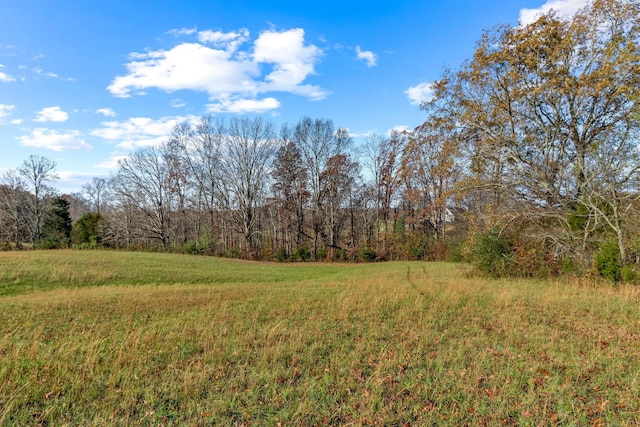 view of local wilderness