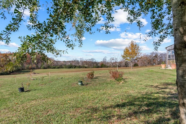 view of yard featuring a rural view